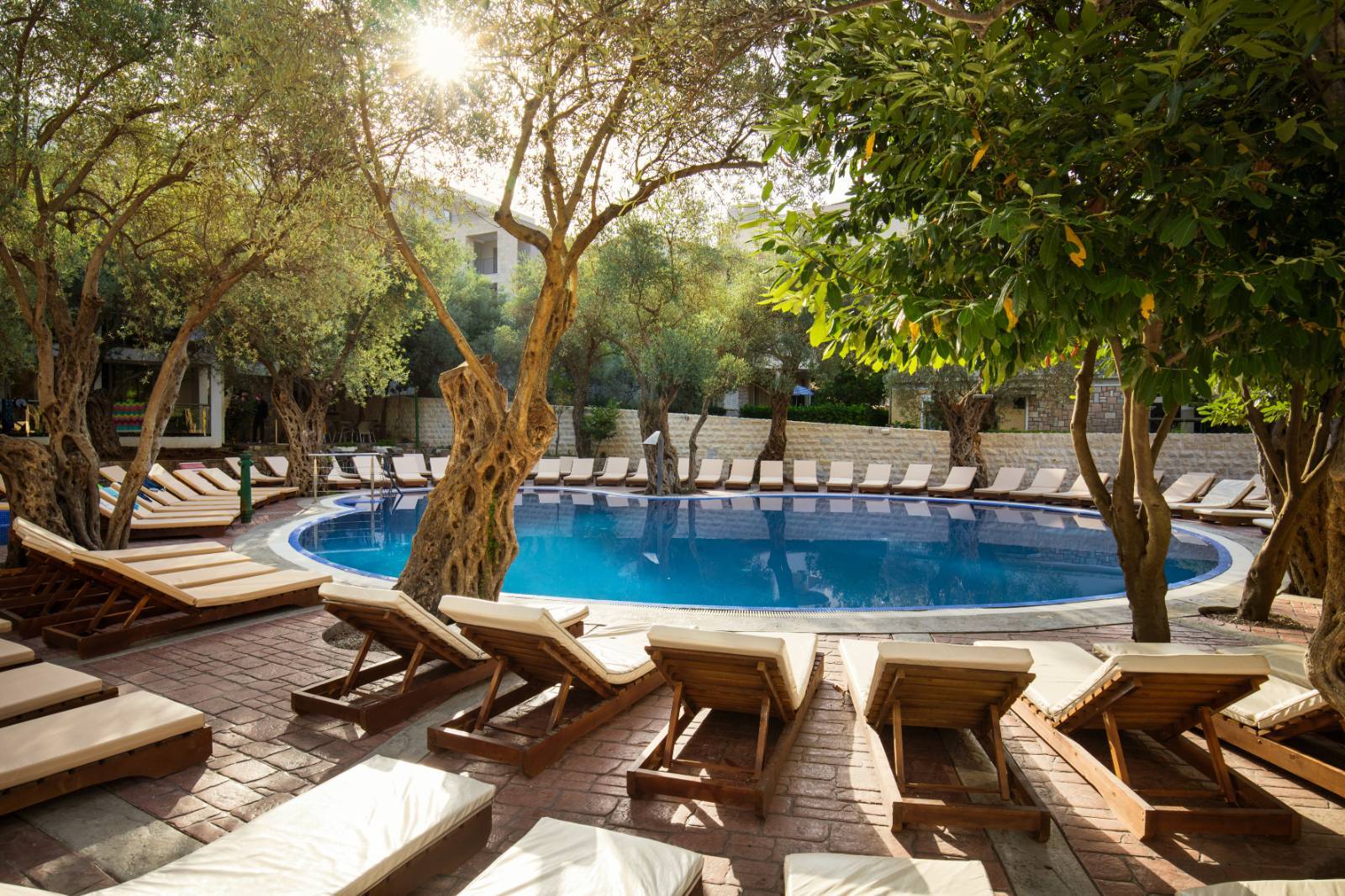Vile Oliva Petrovac 2