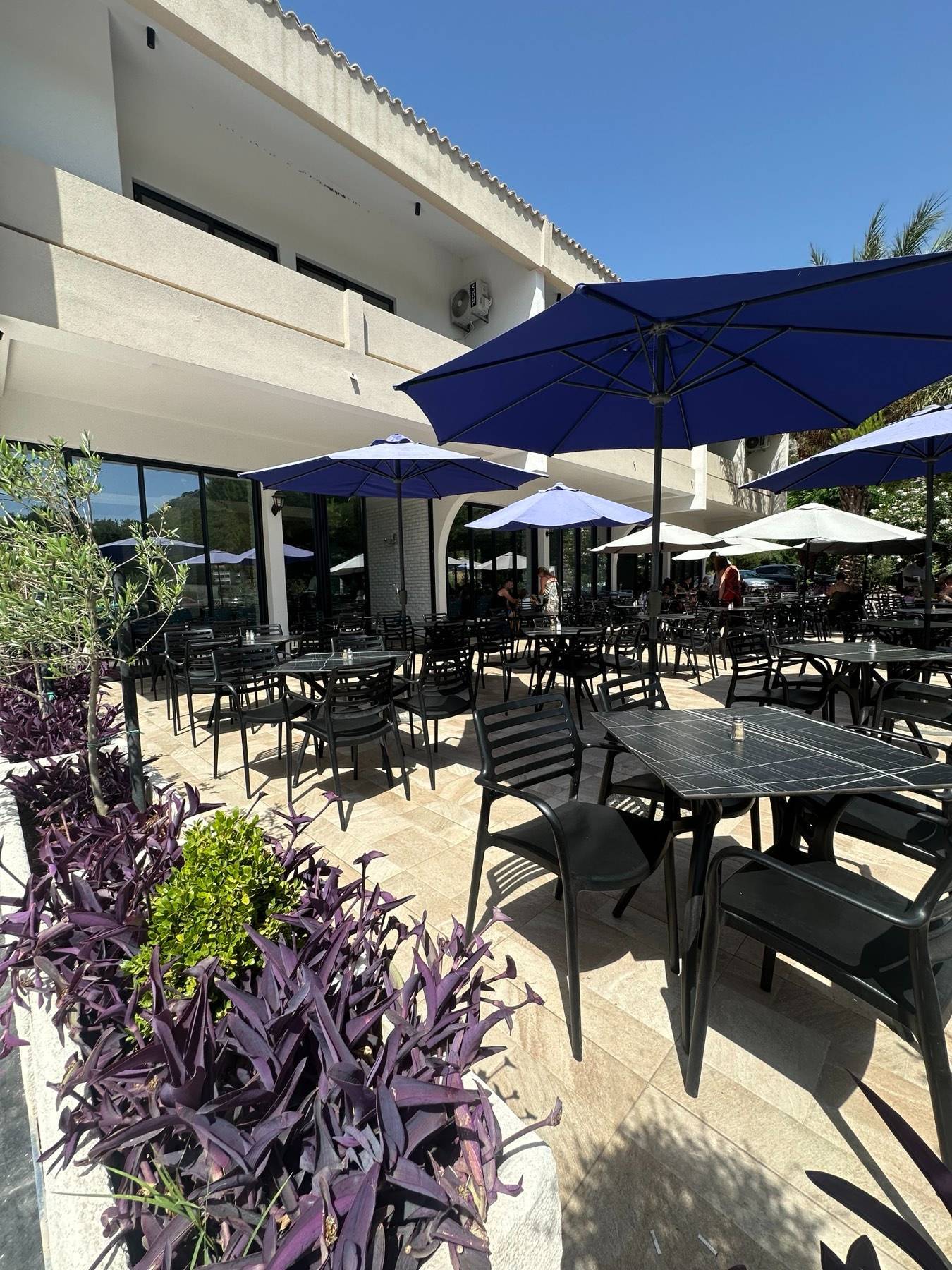 Restoran & Barovi - 3